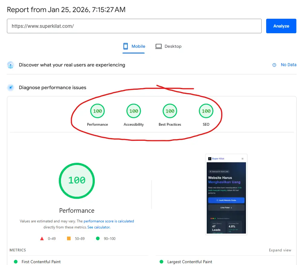 PageSpeed Insights 100/100 Score